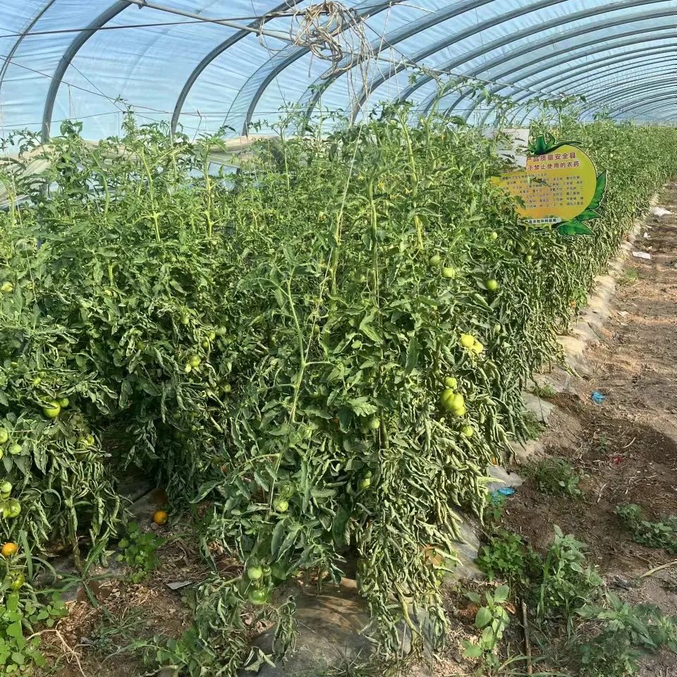 54F50